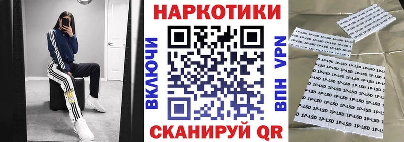 ГАШ Холм