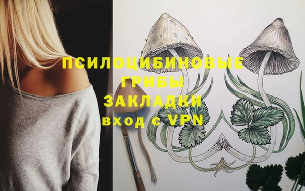 прущая мука Каменногорск