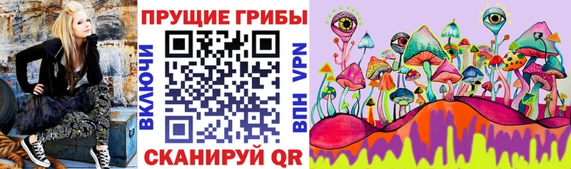 Купить закладки  Холм  Галлюциногенные грибы Cubensis 