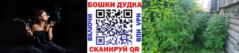 Купить закладки  Холм  Бошки марихуана Bruce Banner 